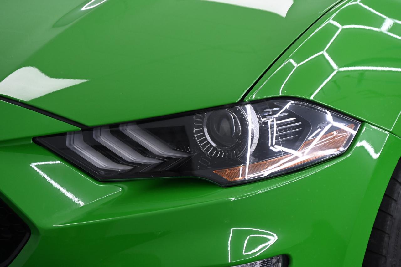 Ford Mustang GT Premium Coupe 2019