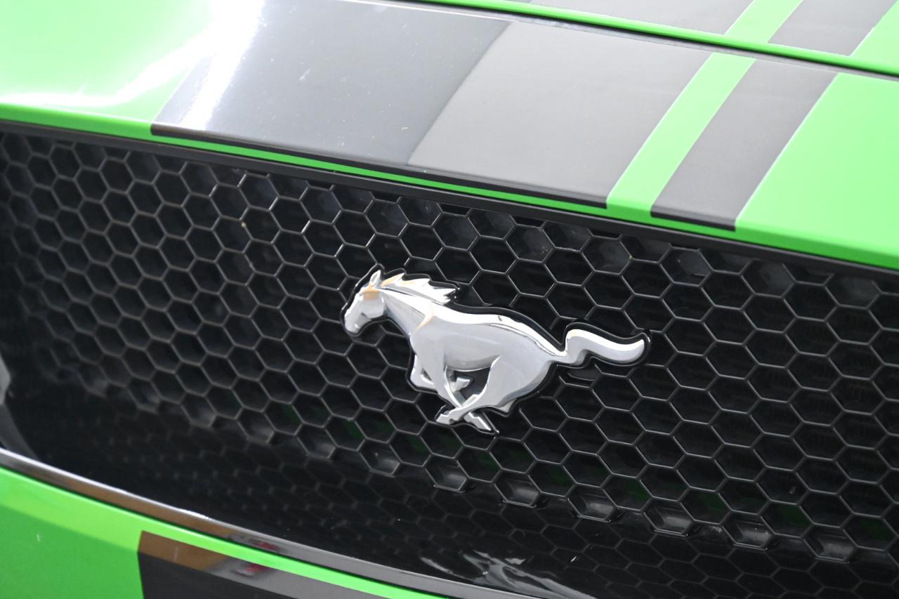 Ford Mustang GT Premium Coupe 2019