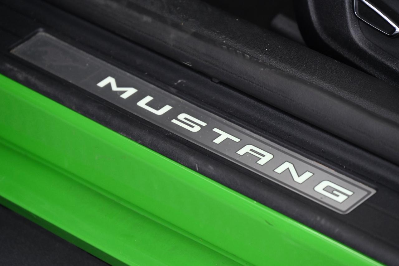 Ford Mustang GT Premium Coupe 2019