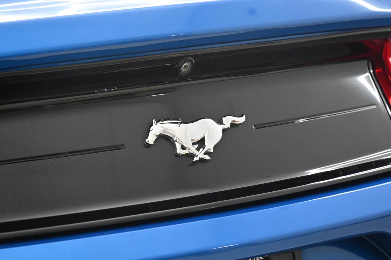 Ford Mustang EcoBoost Coupe 2021