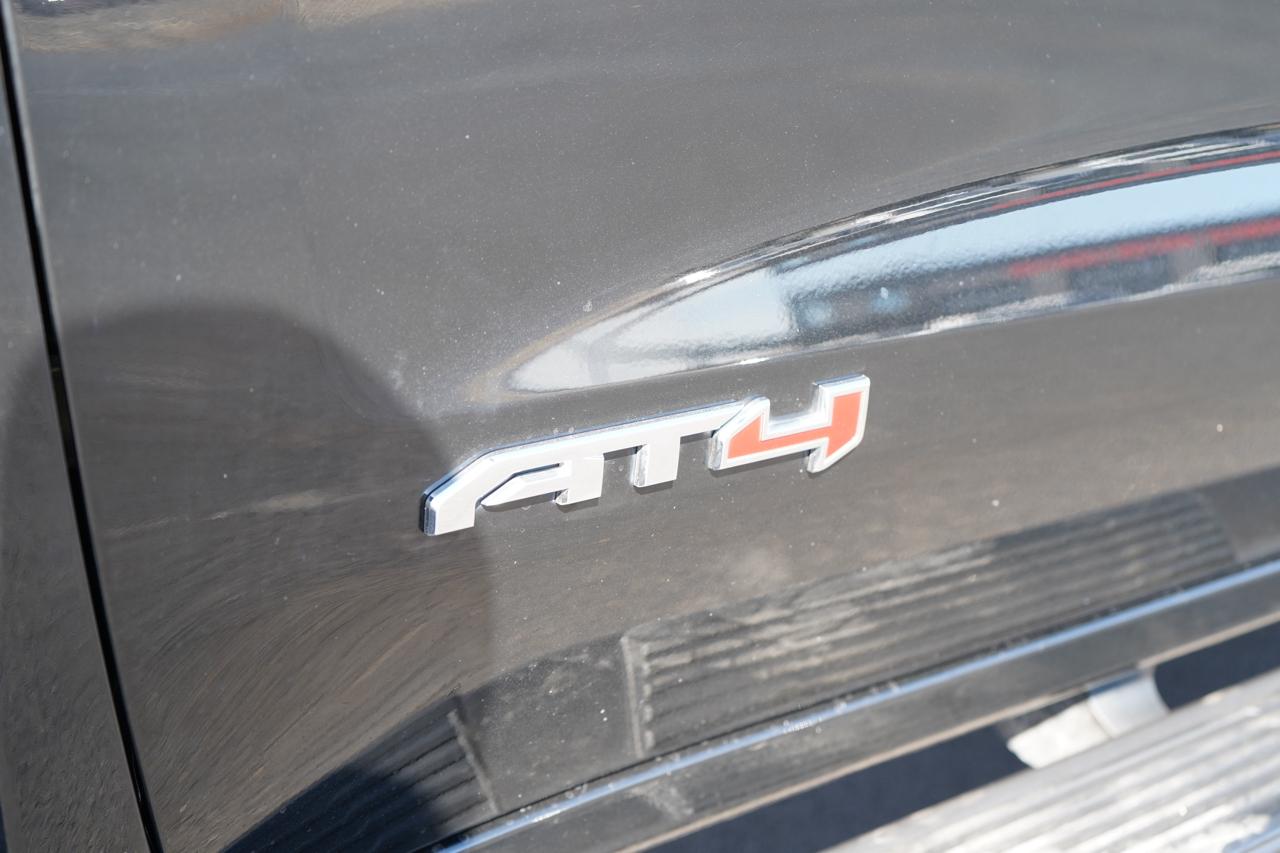 GMC Sierra 1500 4WD Crew Cab 147" AT4 2019