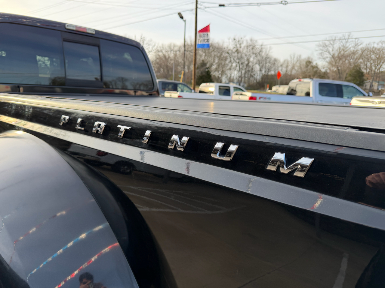 Ford F-350 SD Platinum Crew Cab Long Box 4WD DRW 2013