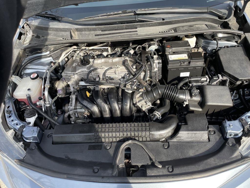 Toyota Corolla LE 2020