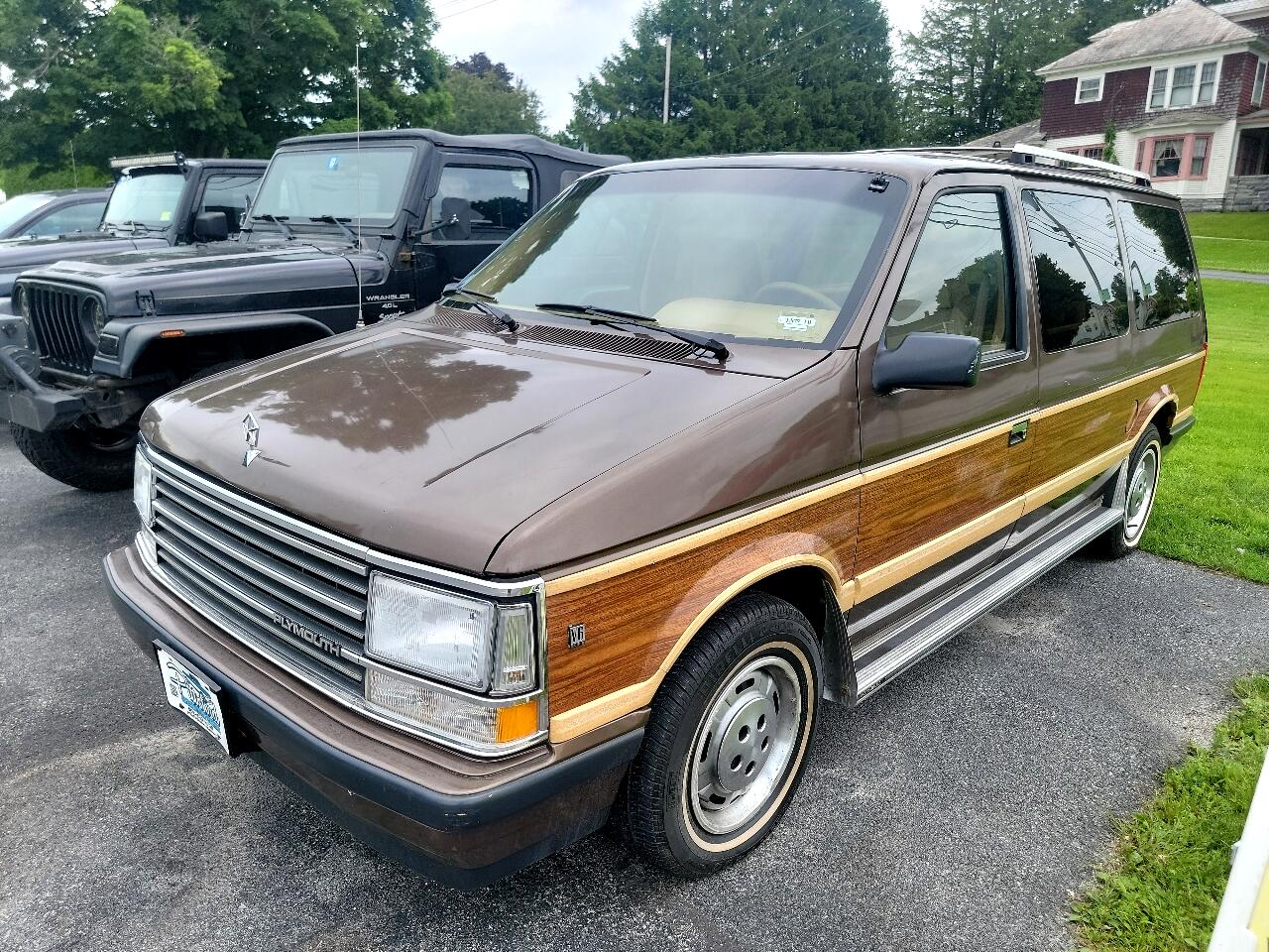 1989 Plymouth Grand Voyager LE