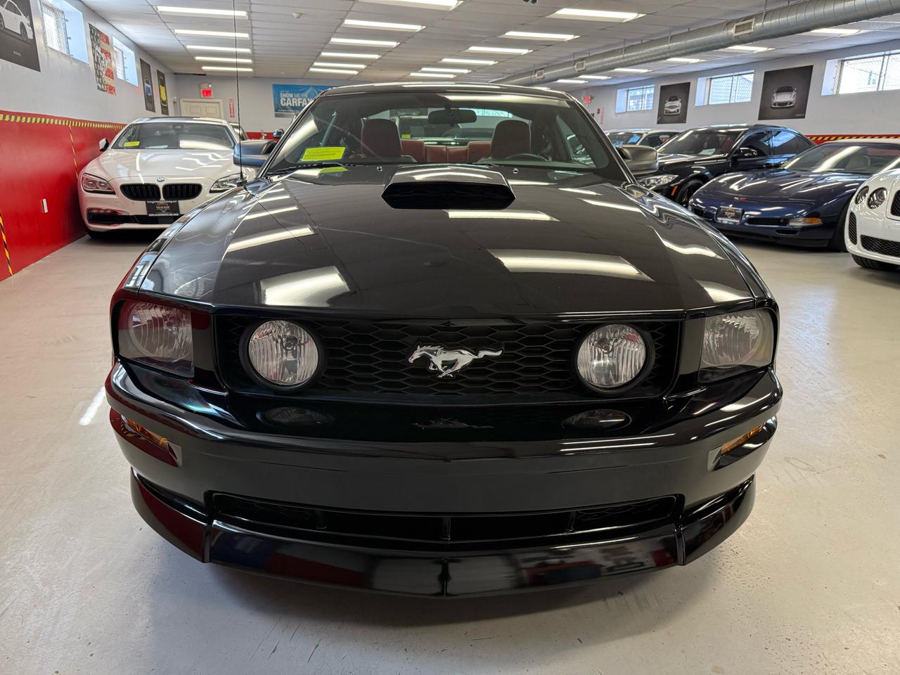 Ford Mustang GT Deluxe Coupe 2008