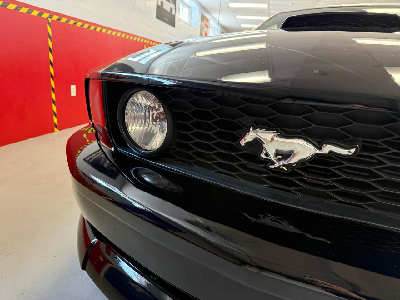 Ford Mustang GT Deluxe Coupe 2008