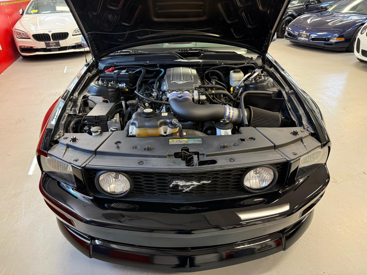 Ford Mustang GT Deluxe Coupe 2008