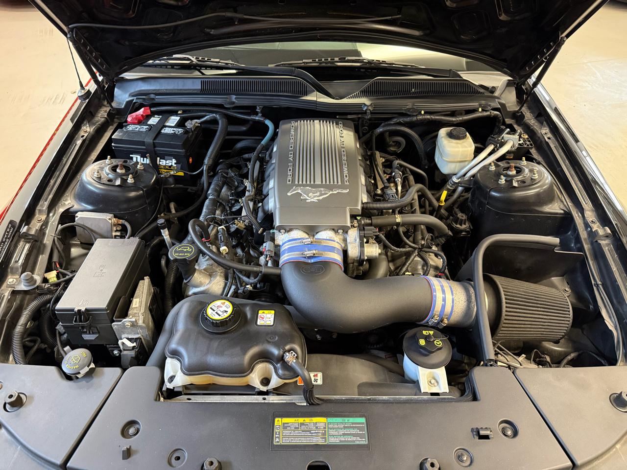 Ford Mustang GT Deluxe Coupe 2008