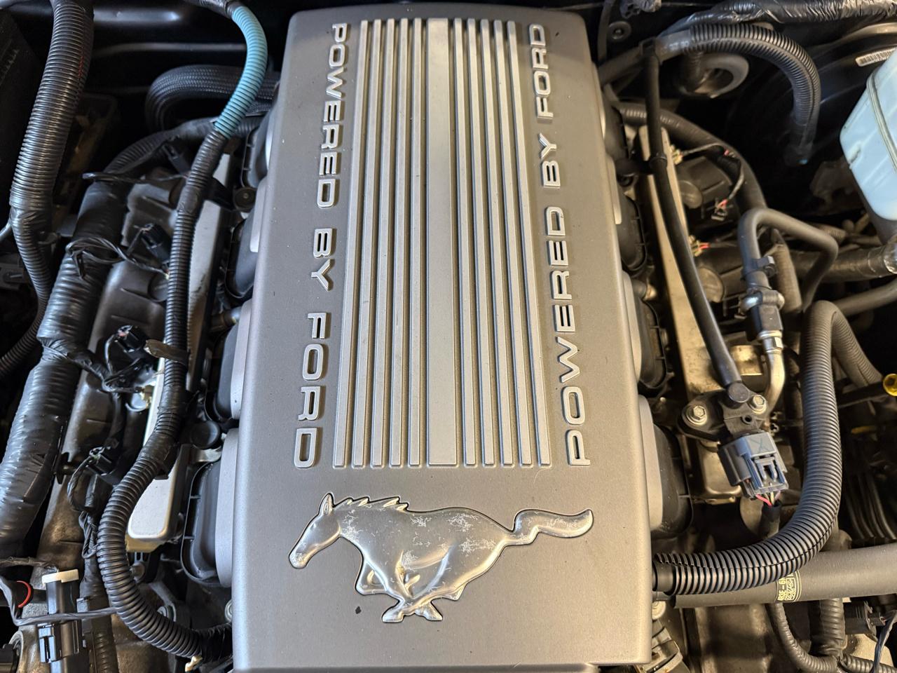 Ford Mustang GT Deluxe Coupe 2008