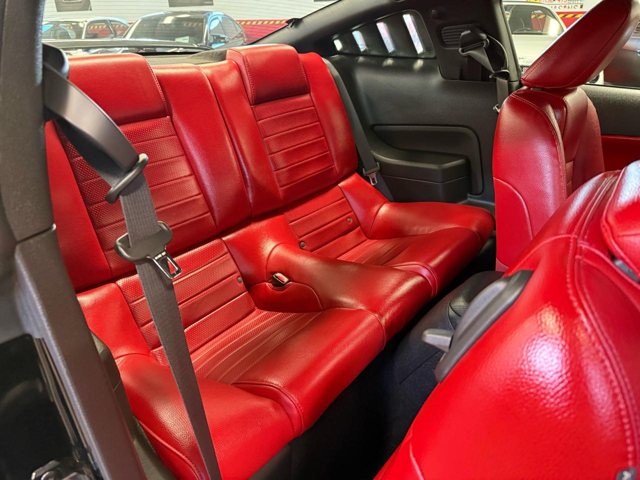 Ford Mustang GT Deluxe Coupe 2008