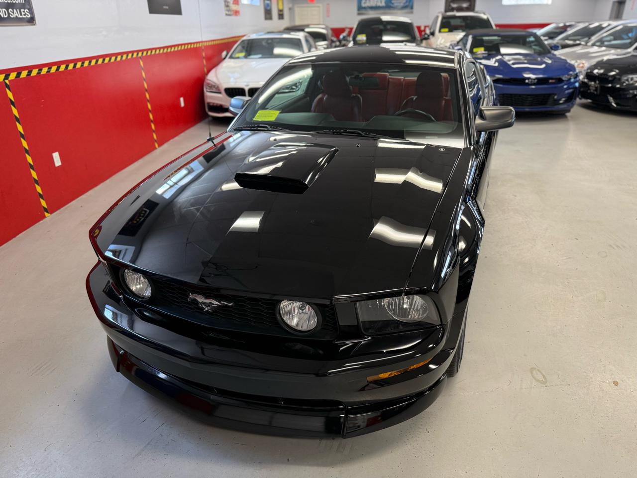 Ford Mustang GT Deluxe Coupe 2008