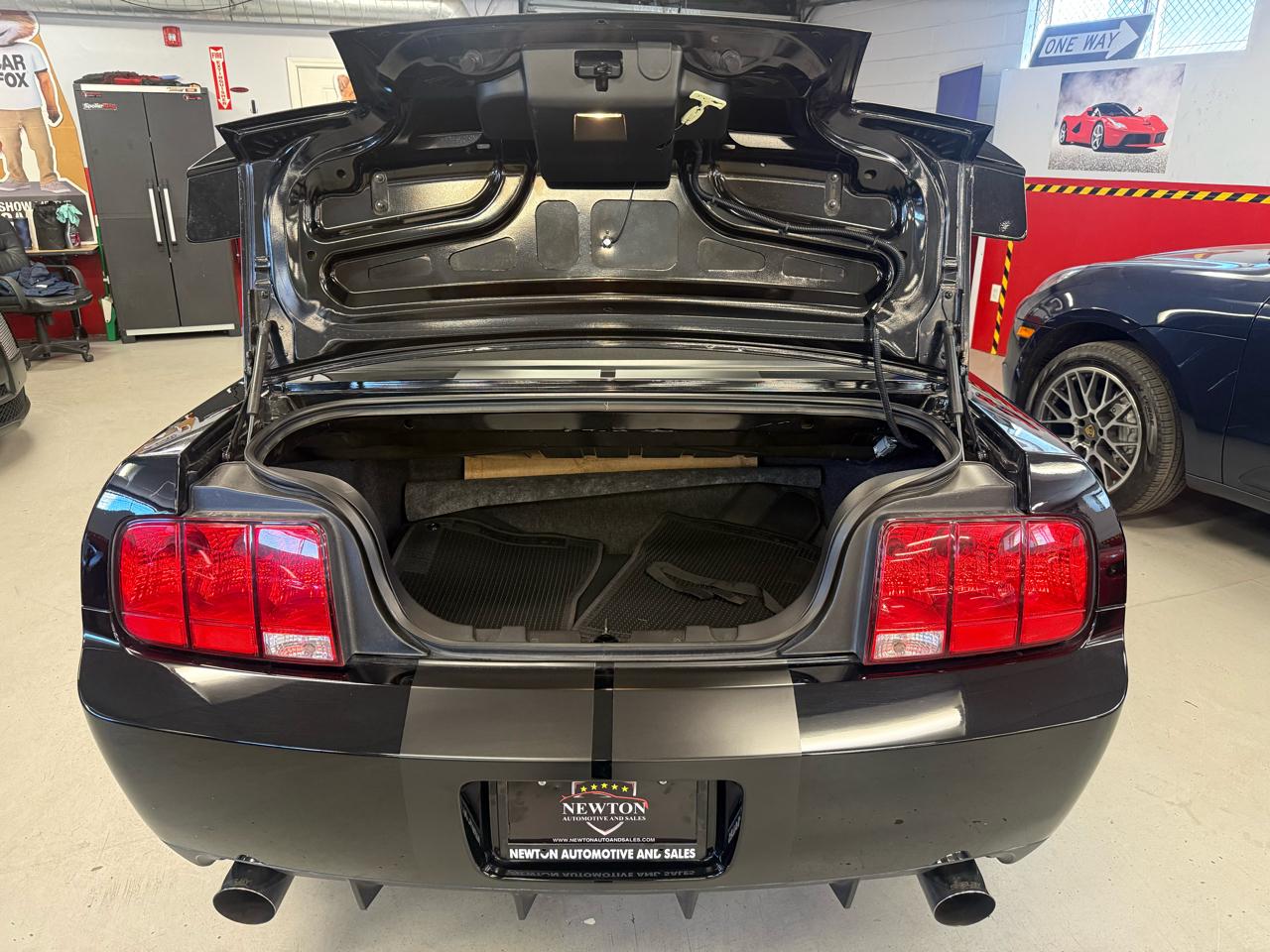 Ford Shelby GT500 Convertible 2008