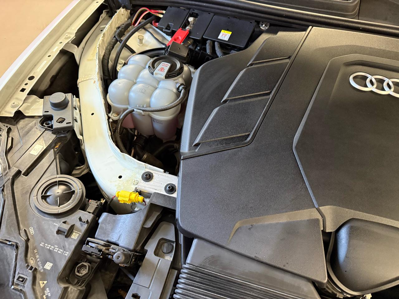 Audi Q7 Premium Plus 55 TFSI quattro 2021