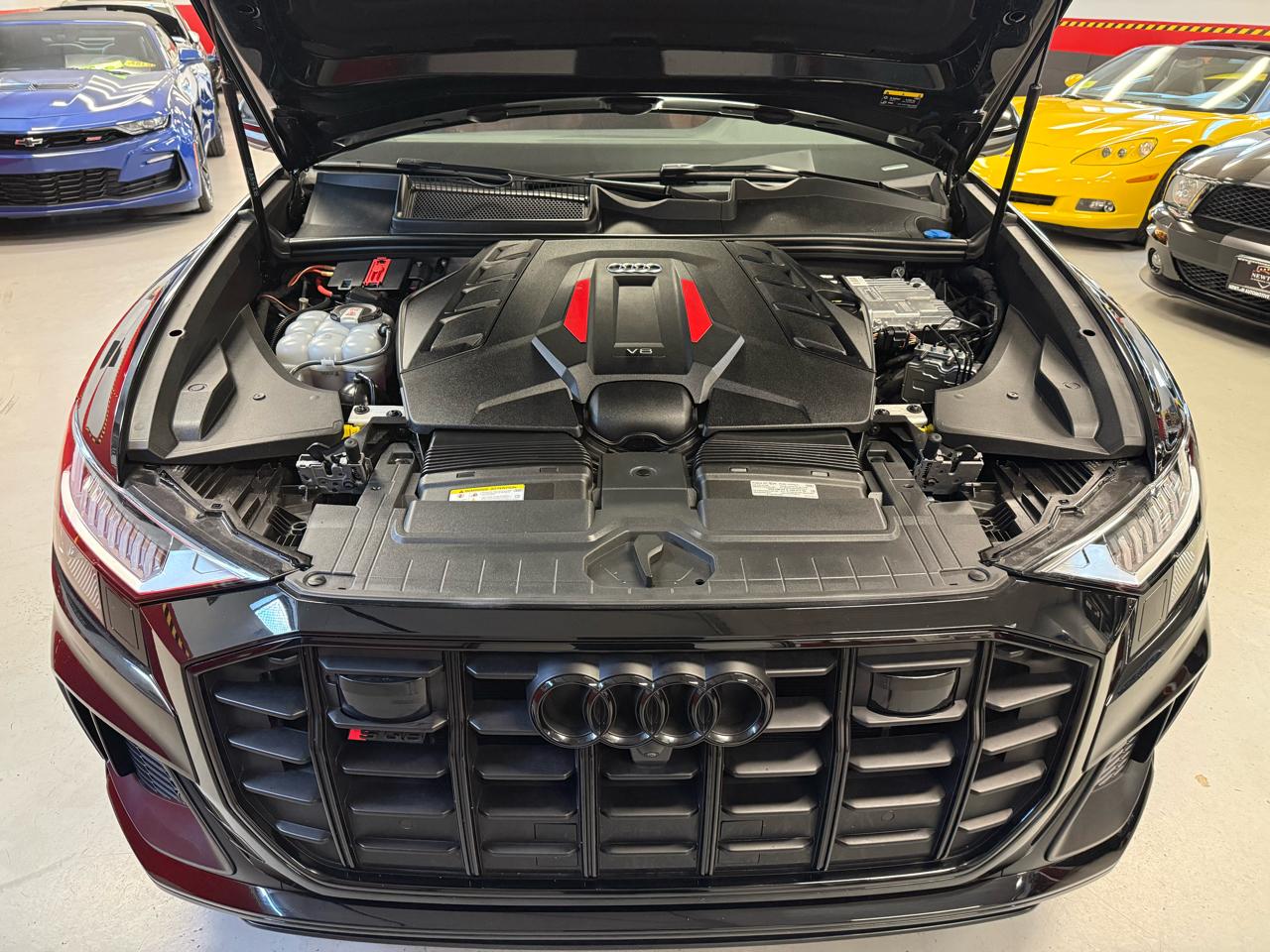 Audi SQ8 Premium Plus TFSI quattro 2023
