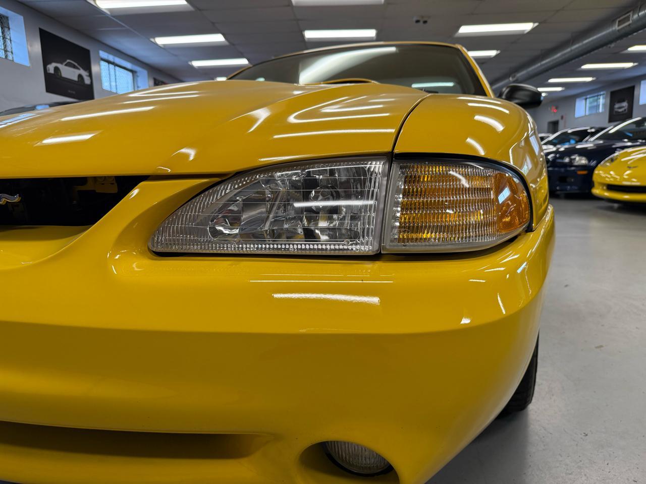 Ford Mustang Cobra 1998