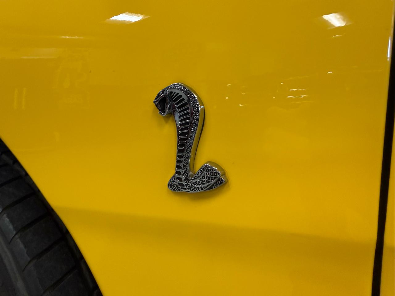 Ford Mustang Cobra 1998