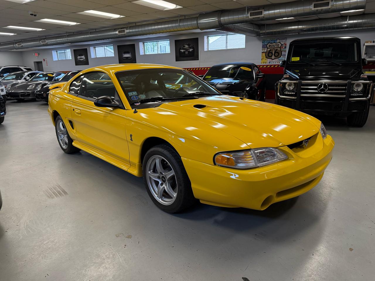 Ford Mustang Cobra 1998