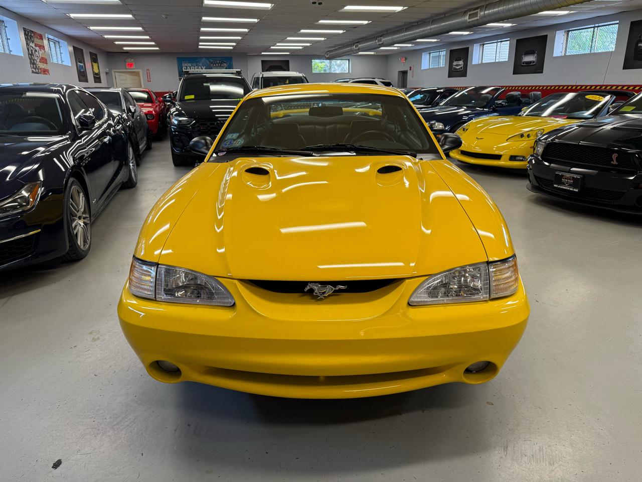 Ford Mustang Cobra 1998