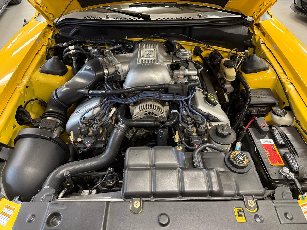 Ford Mustang Cobra 1998