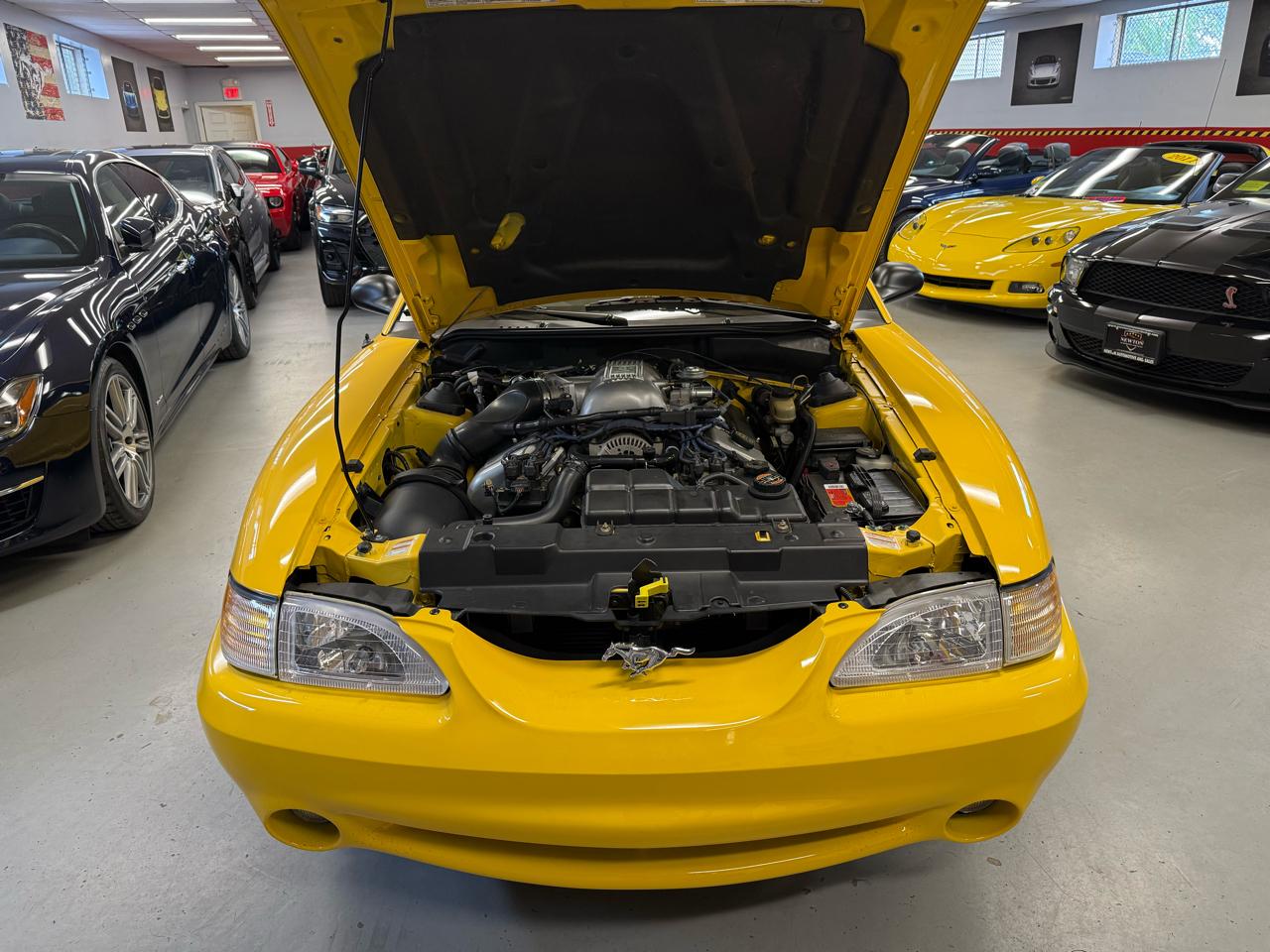 Ford Mustang Cobra 1998