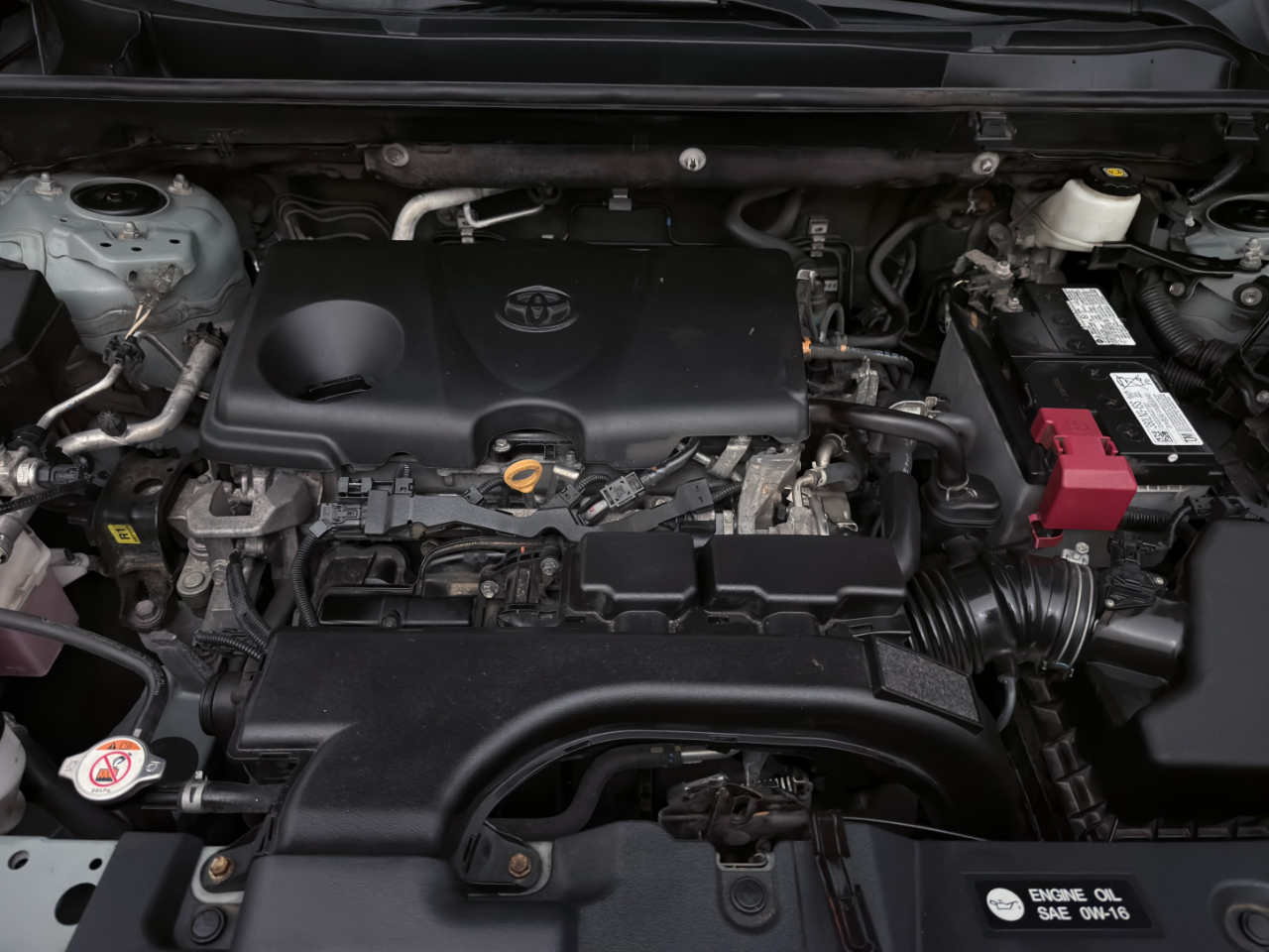 Toyota RAV4 XLE AWD 2021