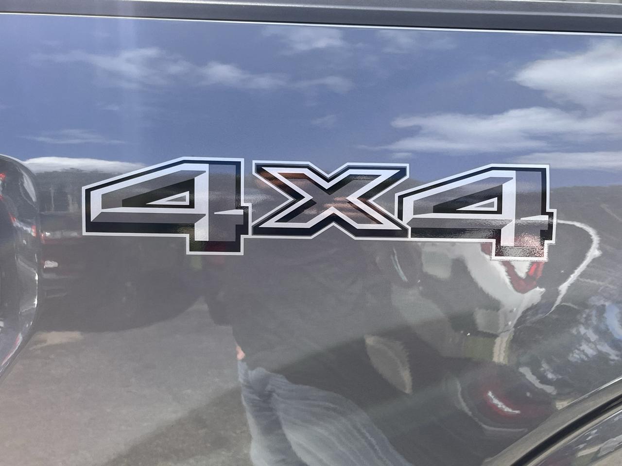 Ford F-150 XLT 4WD SuperCrew 5.5' Box 2024