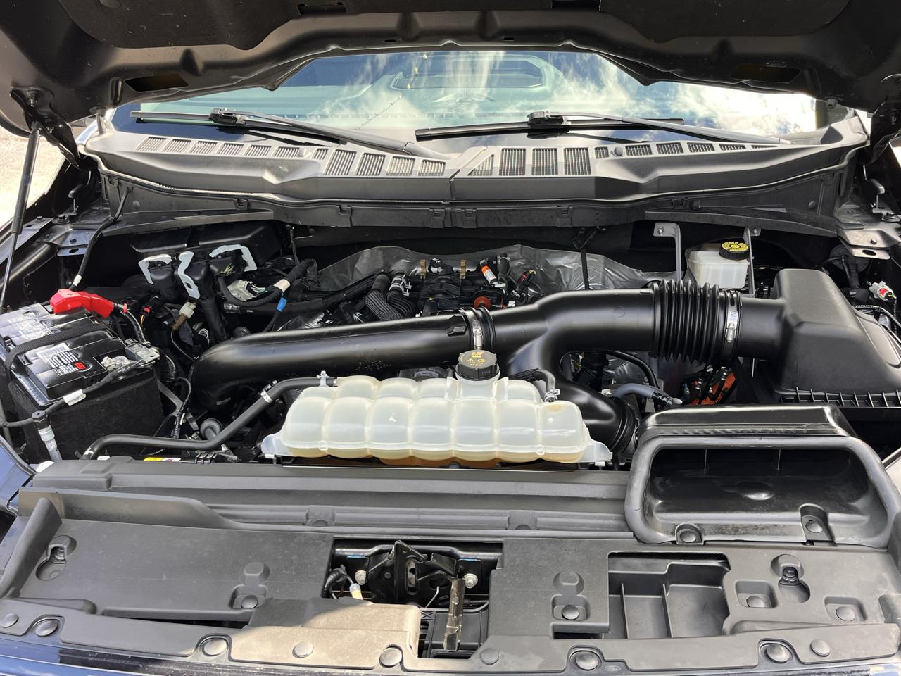 Ford F-150 XLT 4WD SuperCrew 5.5' Box 2024