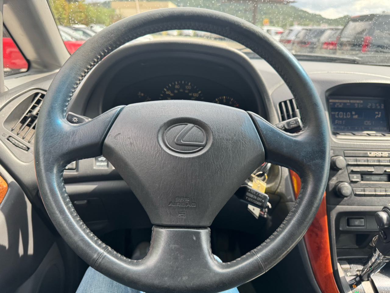 View 25