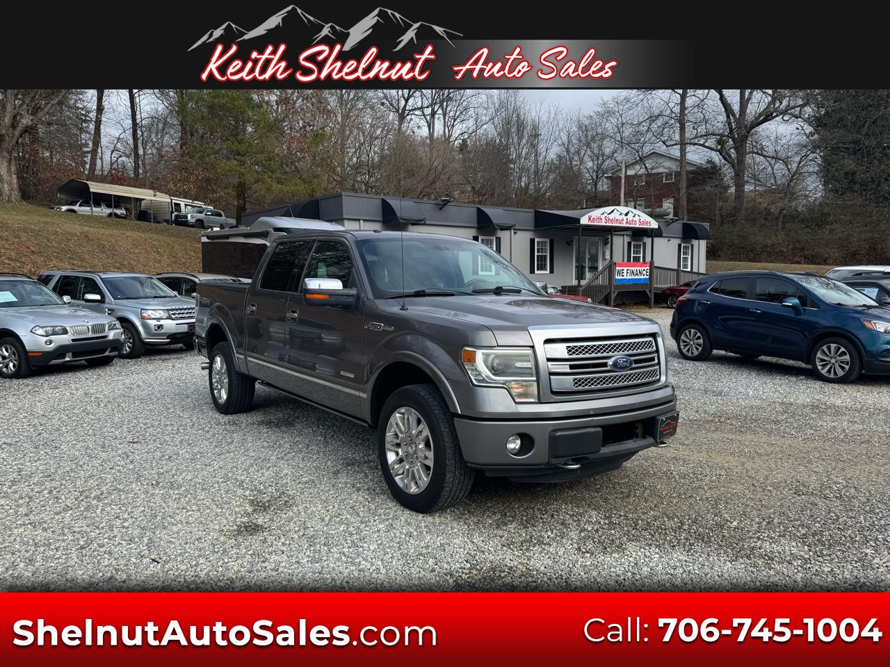 2013 Ford F-150 Platinum