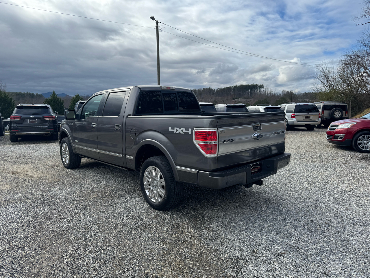 Ford F-150 Platinum 2013