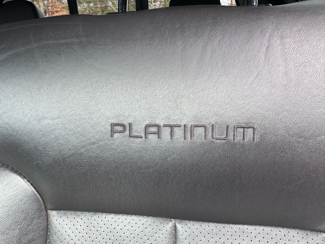 Ford F-150 Platinum 2013