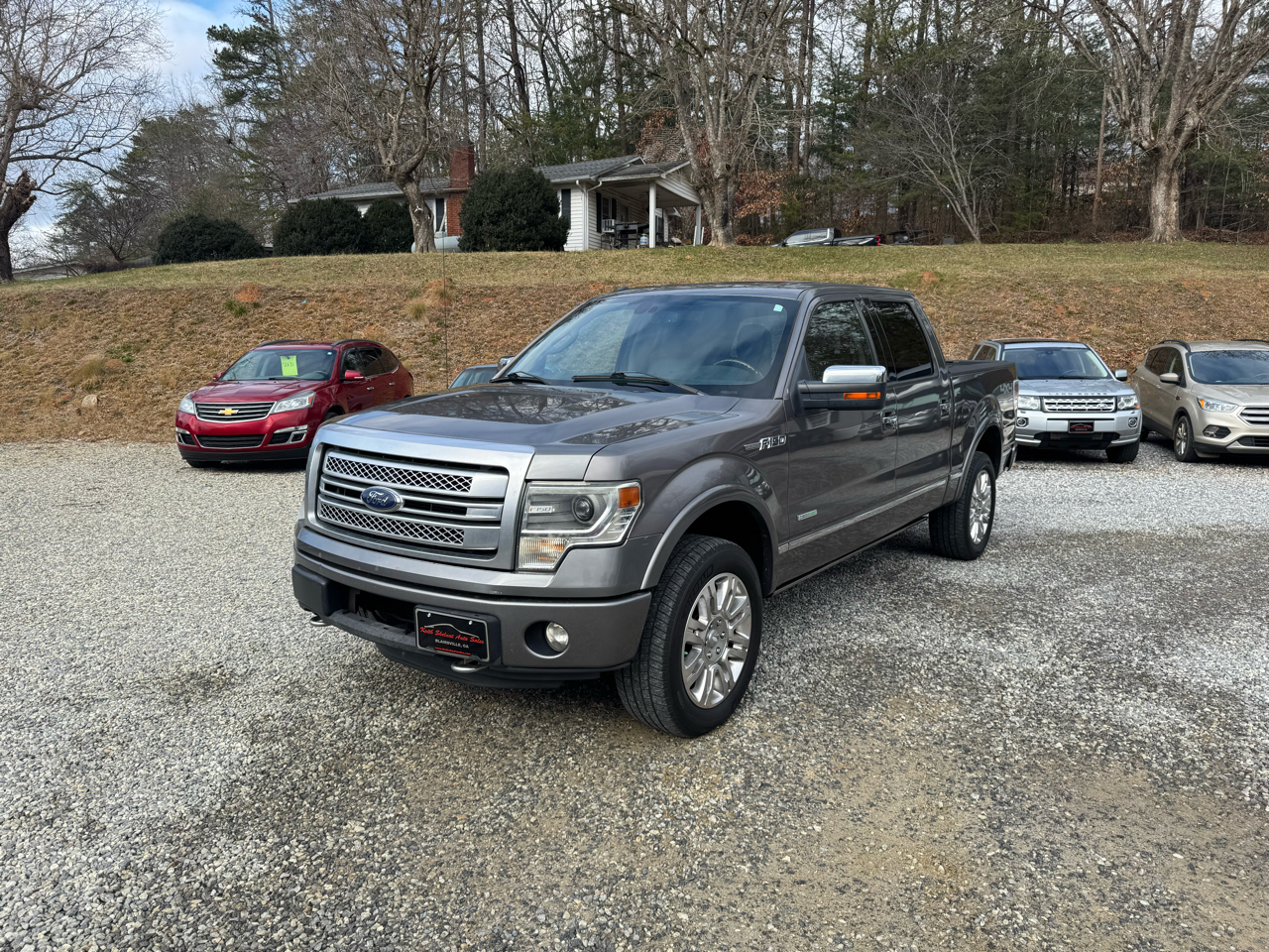 Ford F-150 Platinum 2013