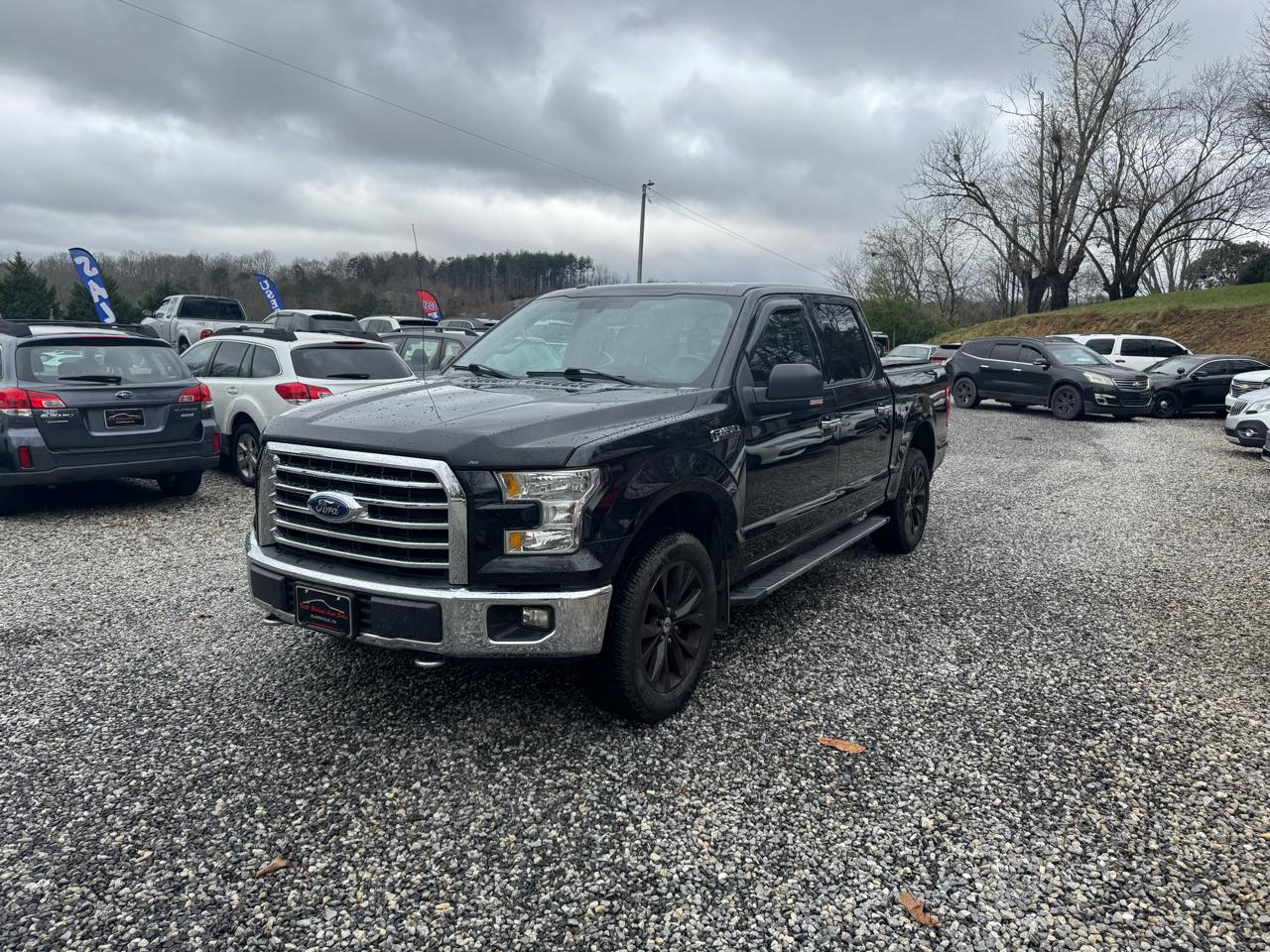 Ford F-150 4WD SuperCrew 145" XLT 2015