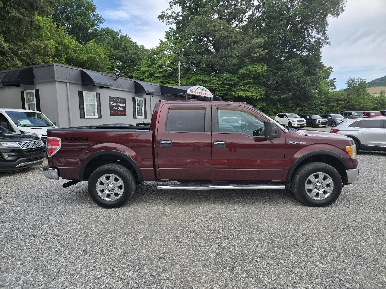 Ford F-150 4WD SuperCrew 145" XLT 2010
