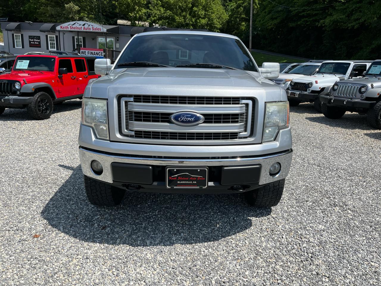 Ford F-150 4WD SuperCrew 145" Platinum 2014