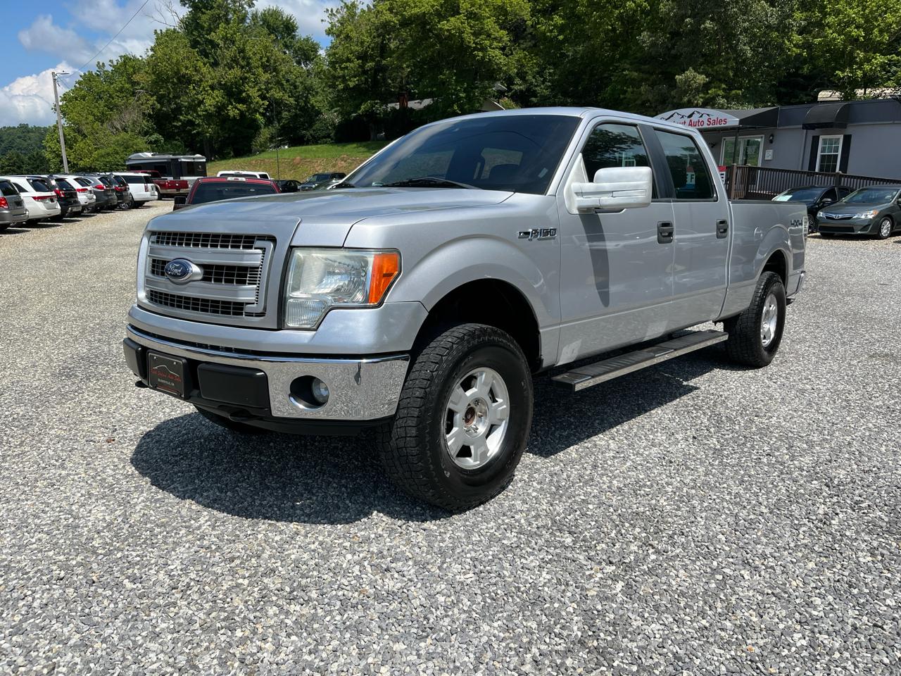 Ford F-150 4WD SuperCrew 145" Platinum 2014