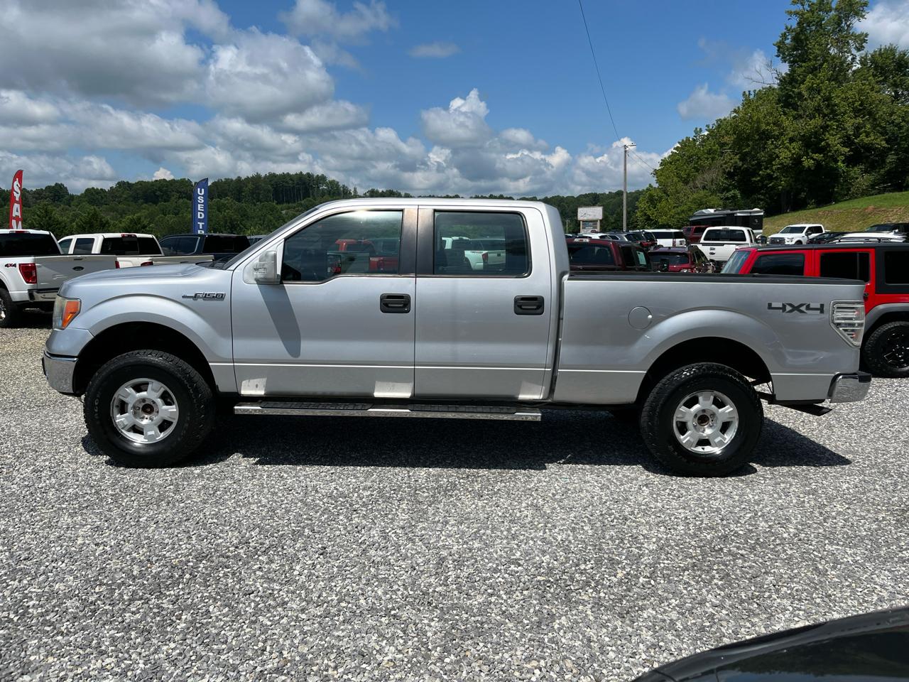 Ford F-150 4WD SuperCrew 145" Platinum 2014