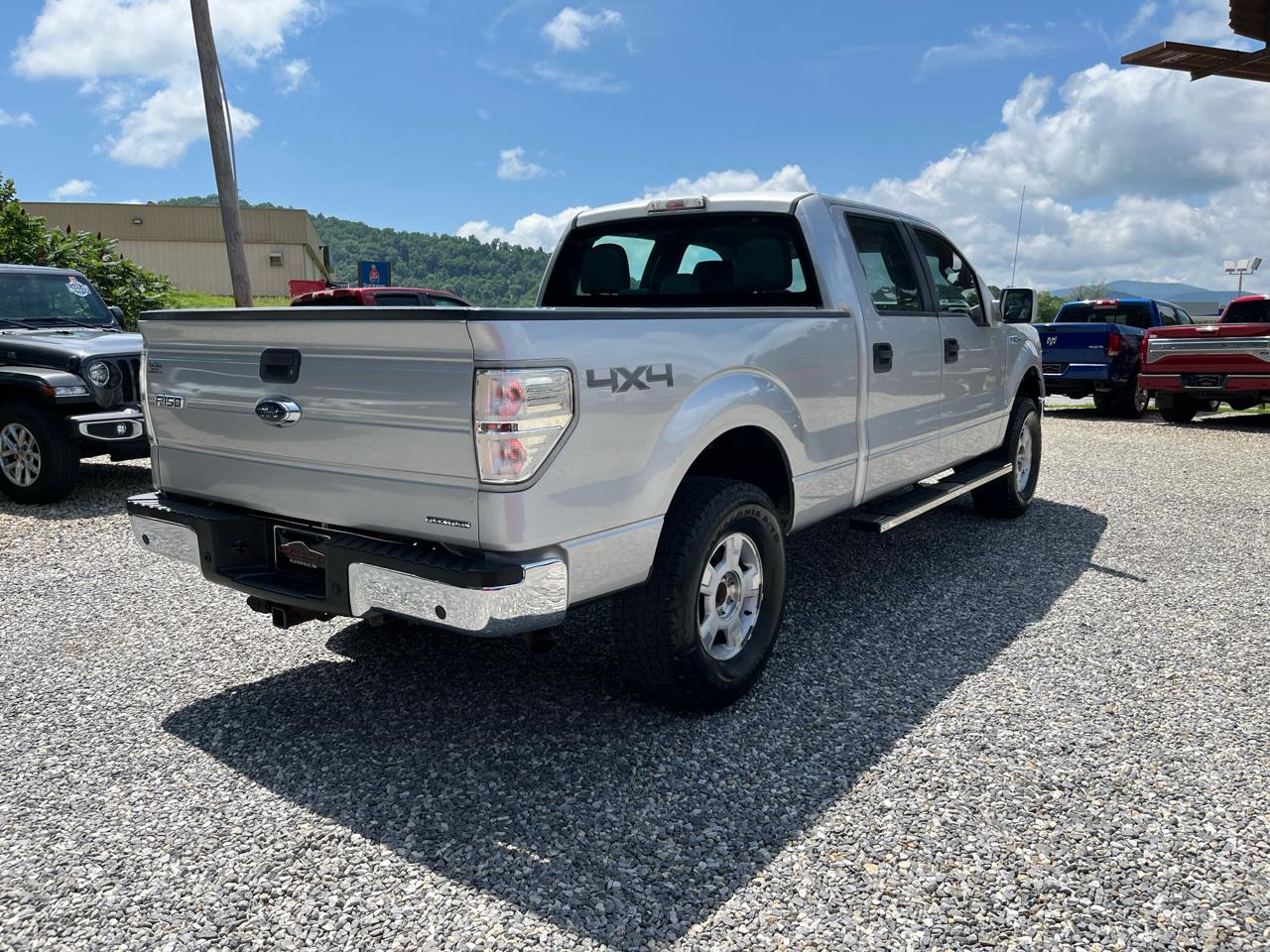 Ford F-150 4WD SuperCrew 145" Platinum 2014