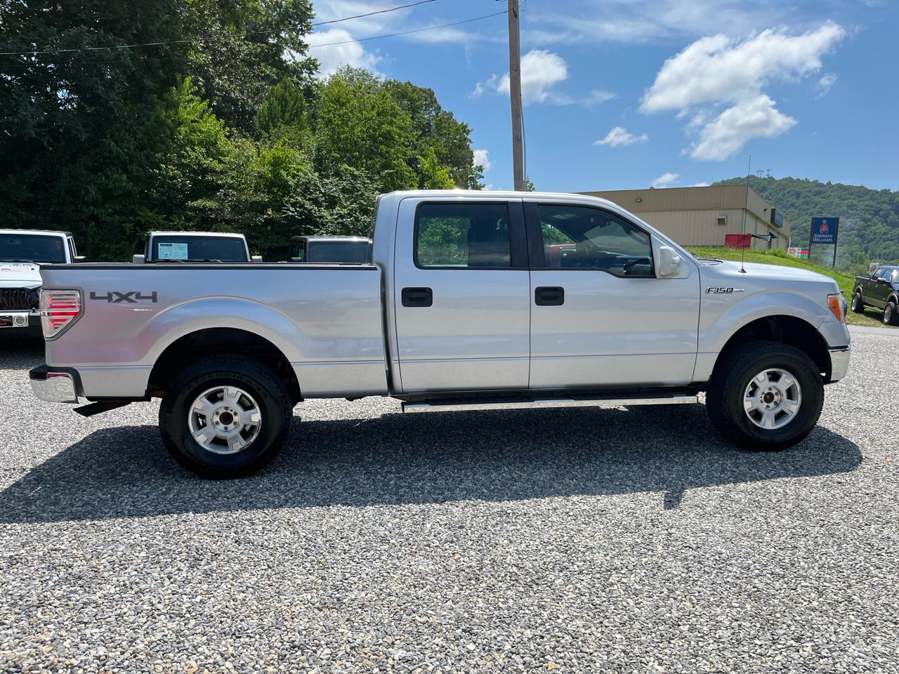 Ford F-150 4WD SuperCrew 145" Platinum 2014