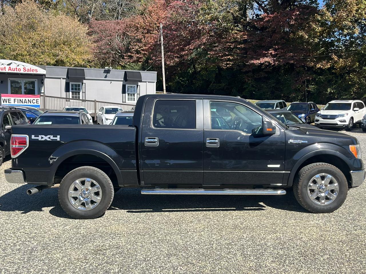 Ford F-150 4WD SuperCrew 139" XLT 2013