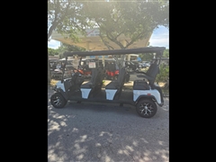 2025 Denago Rover XL 