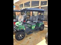 2025 Denago Rover XL 