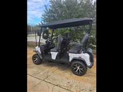 2025 Denago Rover XL 