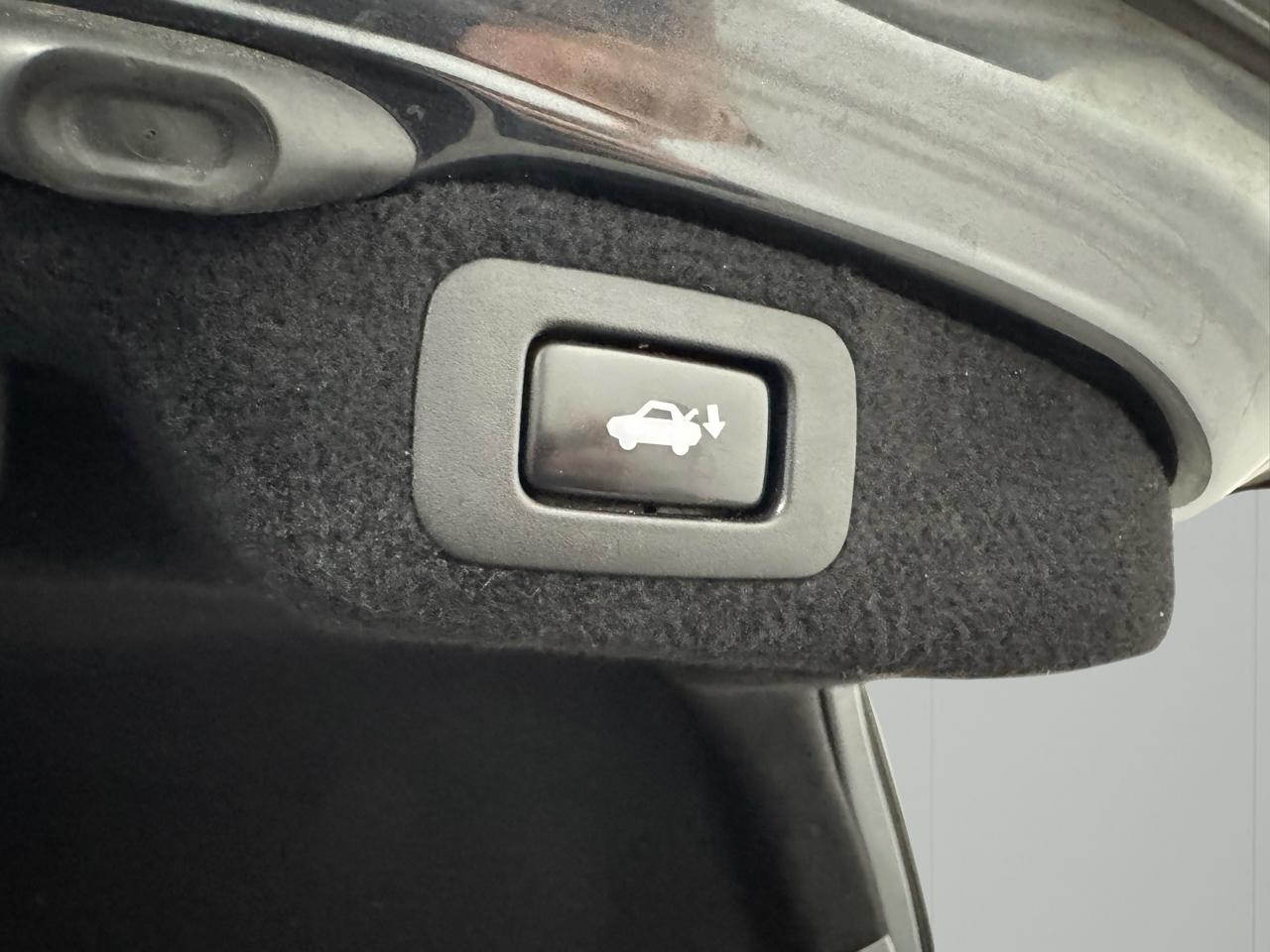 Lexus LS 460 Luxury Sedan AWD 2009