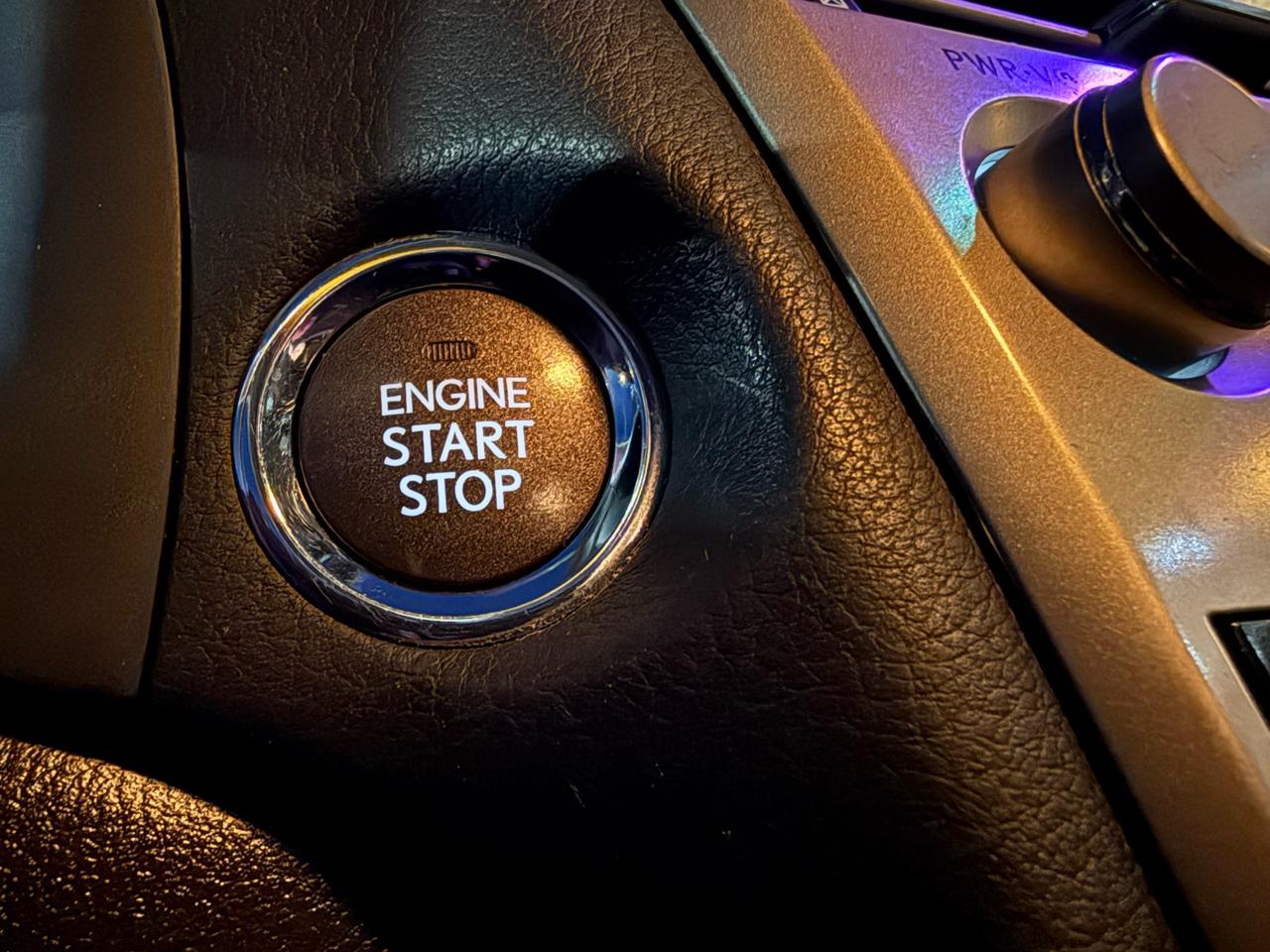 Lexus RX 350 AWD 2010