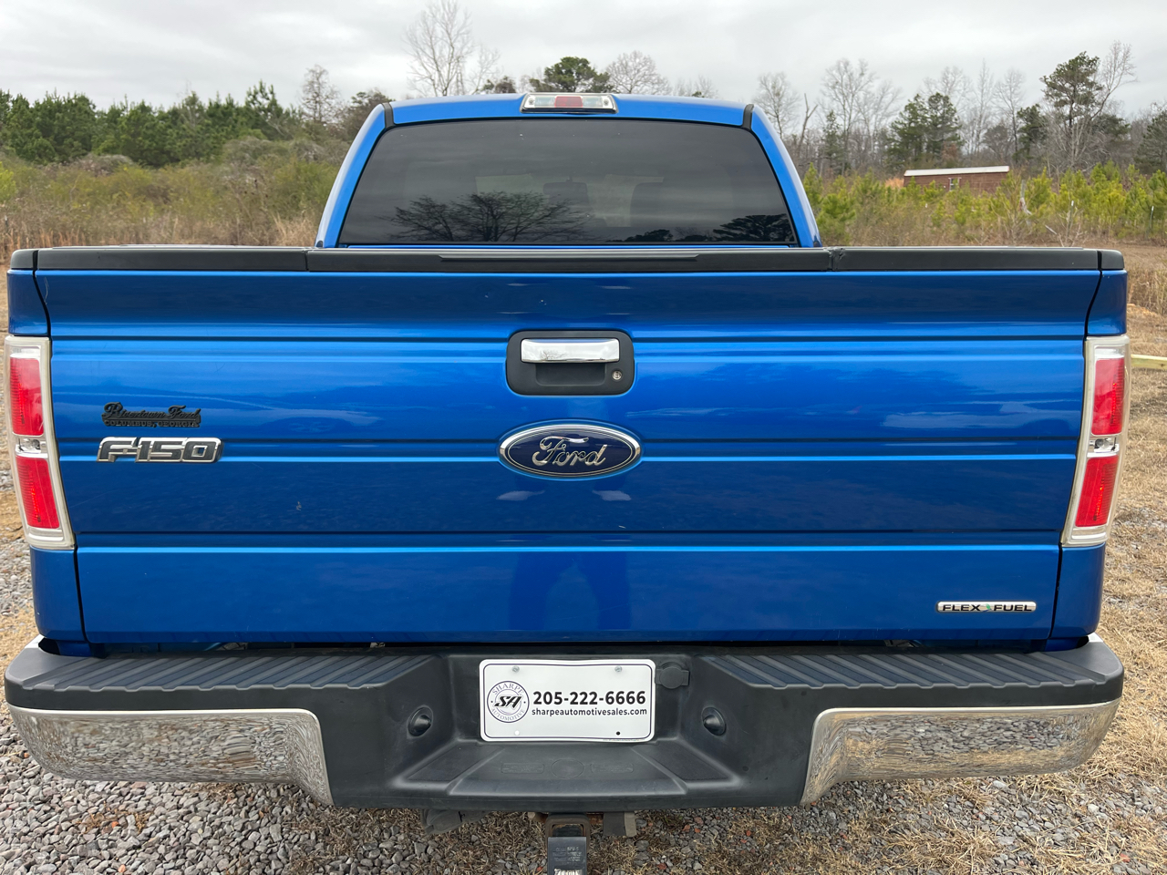 Ford F-150 XLT SuperCrew 5.5-ft. Bed 4WD 2013