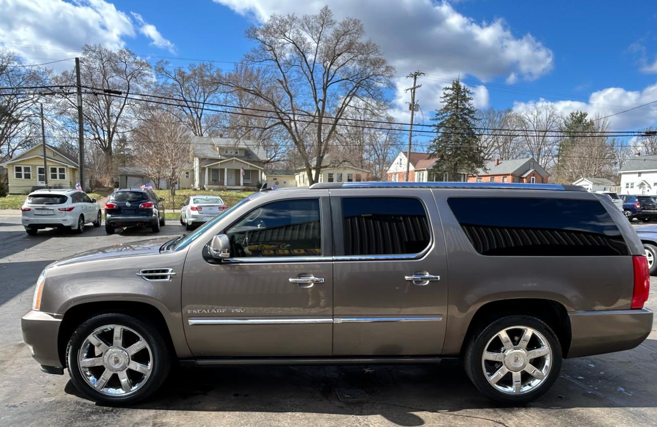 Cadillac Escalade ESV AWD Premium 2011
