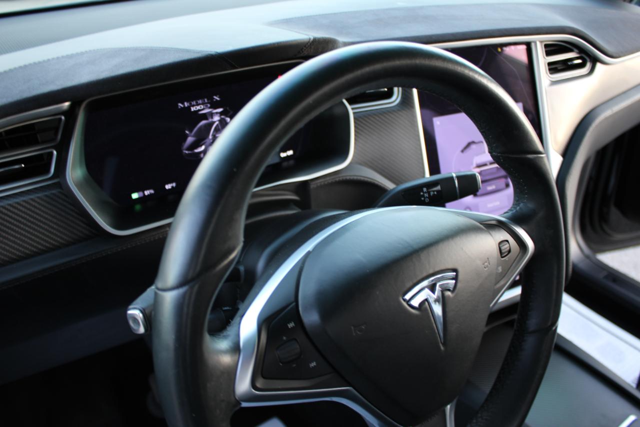 Tesla Model X 100D 2017