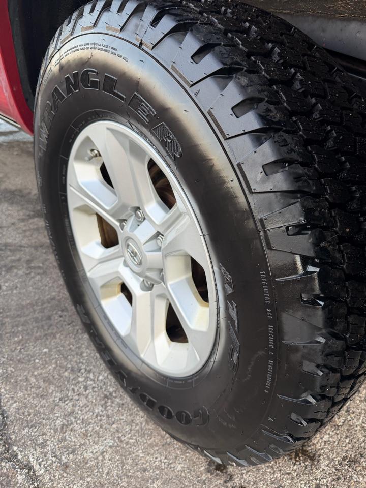 Toyota 4Runner 4WD 4dr V6 Trail Premium (Natl) 2015