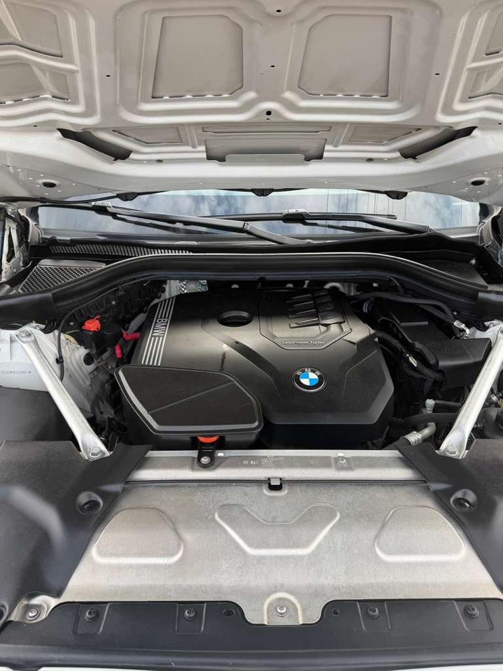BMW X3 xDrive30i Sports Activity Vehicle 2021